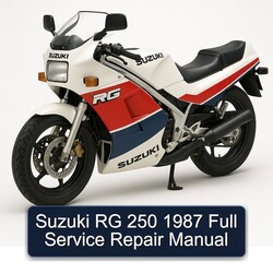 1987 Suzuki RG Series 250 Service Repair Workshop Manual PDF