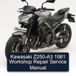 1981 Kawasaki Z Series Z250-A3 Service Repair Workshop Manual PDF