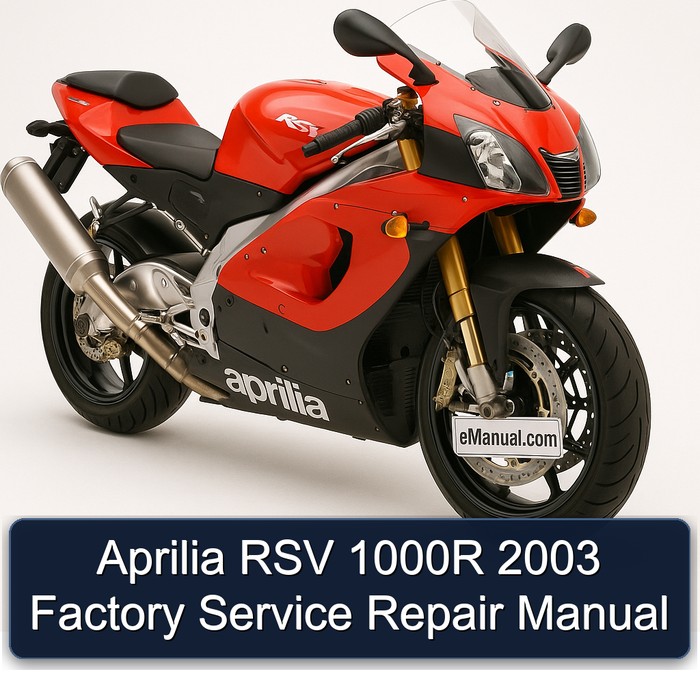 2003 Aprilia RSV Models 1000R Service Repair Workshop Manual PDF