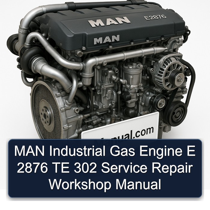 MAN E2876 Industrial Gas Engine E 2876 TE 302 Service Repair Workshop Manual PDF