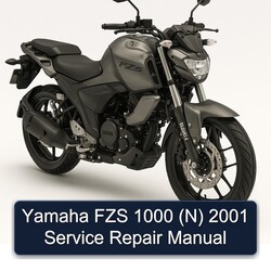 2001 Yamaha FZS Models 1000 (N) Service Repair Workshop Manual PDF