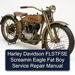 Harley Davidson Flstfse Screamin Eagle Fat Boy Service Repair Workshop Manual PDF