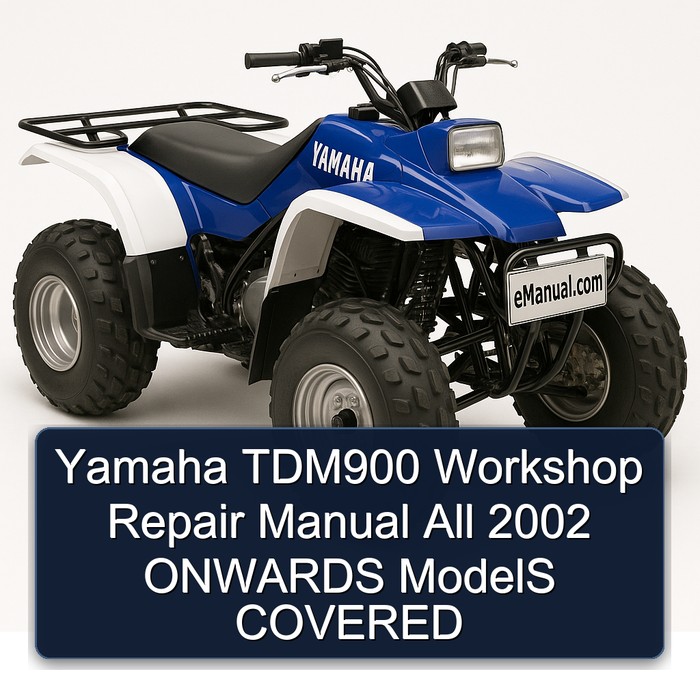 2002 Yamaha TDM Models TDM900 All Onwards Covered Service Repair Workshop Manual PDF
