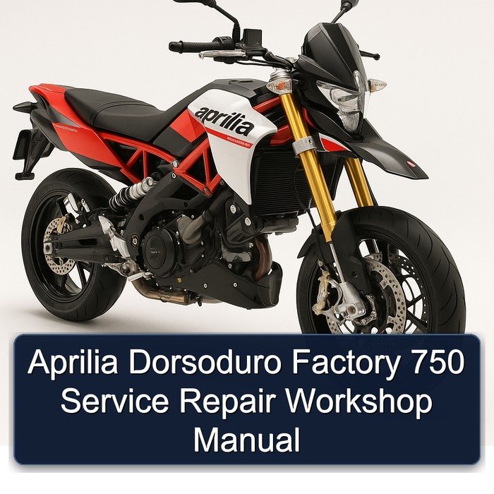 Aprilia Dorsoduro Service Repair Workshop Manual PDF