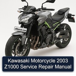 2003 Kawasaki Motorcycle Z1000 Service Repair Workshop Manual PDF