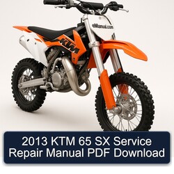 2013 KTM 65 Service Repair Workshop Manual PDF