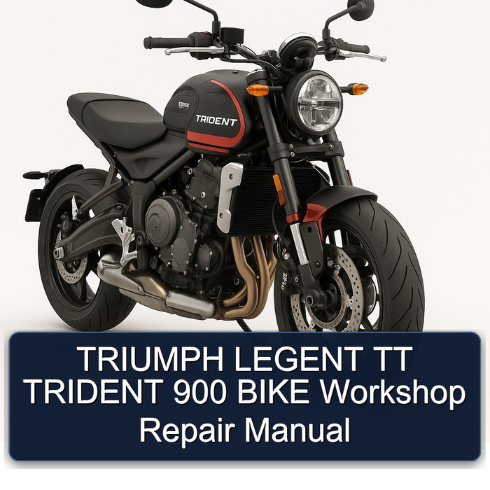 Triumph Trident Legent TT 900 Bike Service Repair Workshop Manual PDF