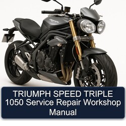 TRIUMPH SPEED TRIPLE 1050 Service Repair Workshop Manual 