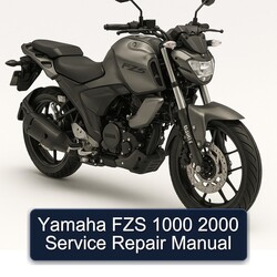 2000 Yamaha FZS Models 1000 Service Repair Workshop Manual PDF