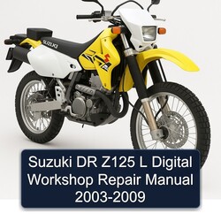 Suzuki DR Z125 L Digital Workshop Repair Manual 2003-2009 