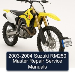 2003-2004 Suzuki RM Series RM250 Master Service Repair Workshop Manual PDF