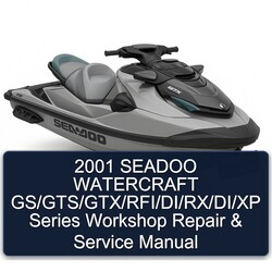 2001 Seadoo Watercraft Gs/gts/gtx/rfi/di/rx/di/xp Series Service Repair Workshop Manual PDF
