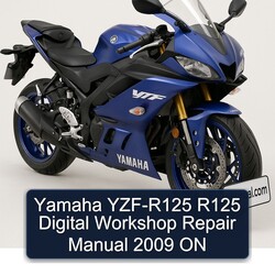 2009 Yamaha YZF Models YZF-R125 R125 Digital ON Service Repair Workshop Manual PDF