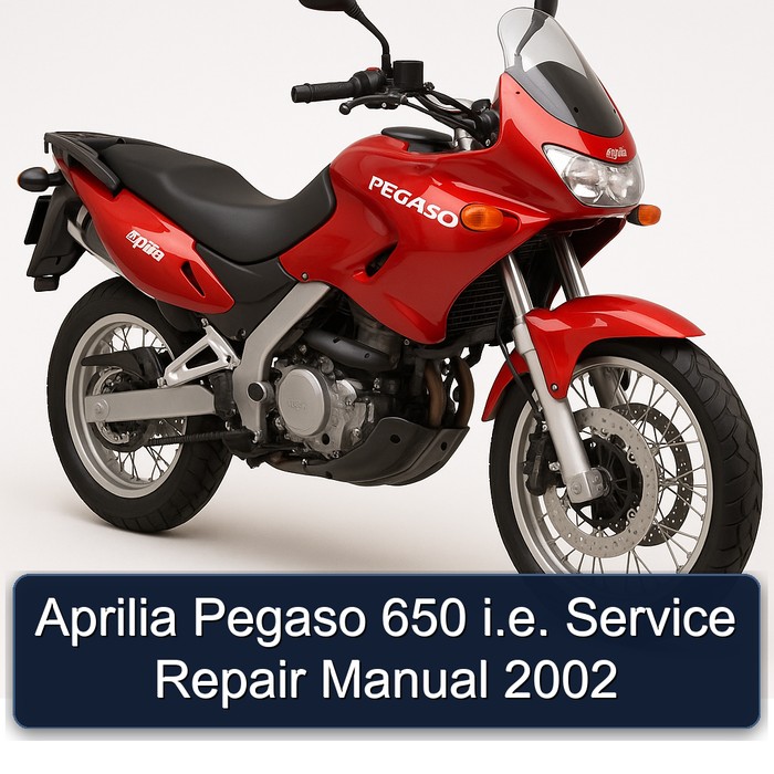 2002 Aprilia Pegaso Models 650 I.e Service Repair Workshop Manual PDF
