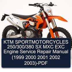 1999-2003 KTM 250 Sportmotorcycles /300/380 SX MXC EXC Engine Service Repair Workshop Manual PDF