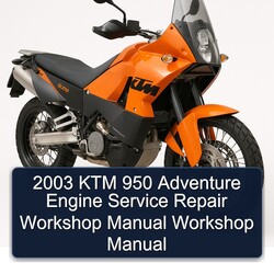 2003 KTM 950 Adventure Engine Service Repair Workshop Manual PDF