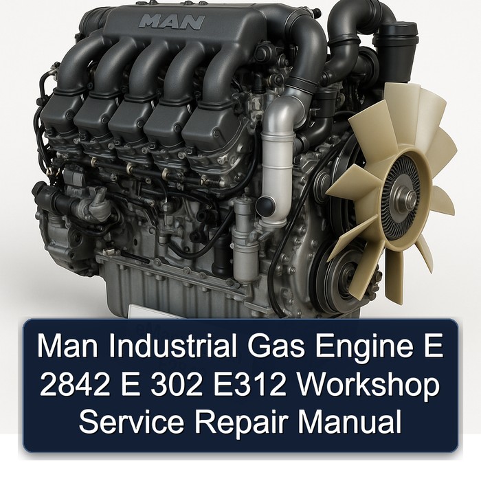 MAN E2842 Industrial Gas Engine E 2842 302 E312 Service Repair Workshop Manual PDF