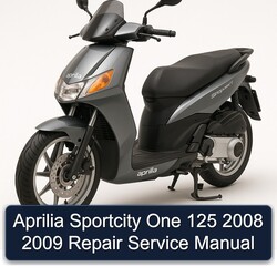 2008-2009 Aprilia Sportcity One 125 Service Repair Workshop Manual PDF