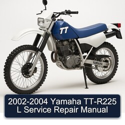 2002-2004 Yamaha TT-R225 L Manual de servicio y reparación 