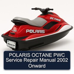2002 Polaris Octane PWC Onward Service Repair Workshop Manual PDF
