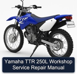 Yamaha TTR 250L Workshop Manual de servicio y reparación 