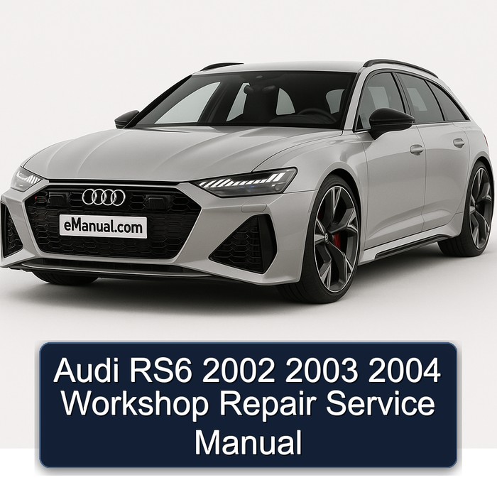 2002-2004 Audi RS6 Service Repair Workshop Manual PDF