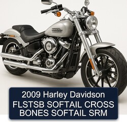 2009 Harley Davidson Softail Flstsb Cross Bones SRM Service Repair Workshop Manual PDF