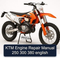 KTM 250 Engine 300 380 English Service Repair Workshop Manual PDF