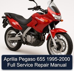 1995-2000 Aprilia Pegaso Models 655 Service Repair Workshop Manual PDF