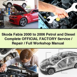 2000-2006 Skoda Fabia Petrol Diesel Official / Service Repair Workshop Manual PDF