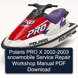 2002-2003 Polaris PRO X - Snowmobile Service Repair Workshop Manual PDF