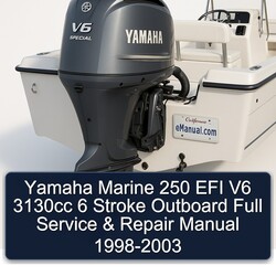 1998-2003 Yamaha Marine 250 EFI V6 3130CC 6 Stroke Outboard Service Repair Workshop Manual PDF