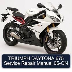 TRIUMPH DAYTONA 675 Manual de servicio y reparación 05-ON 