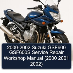 2000-2002 Suzuki GSF600 GSF600S Service Repair Workshop Manual  (2000 2001 2002)