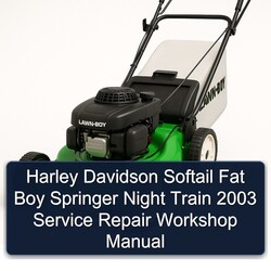 2003 Harley Davidson Softail Fat Boy Springer Night Train Service Repair Workshop Manual PDF