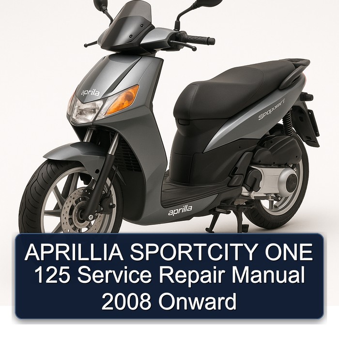 2008 Aprilia Sportcity Aprillia ONE 125 Onward Service Repair Workshop Manual PDF