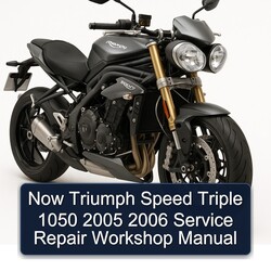 2005-2006 Triumph Speed Triple Now 1050 Service Repair Workshop Manual PDF