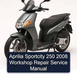 2008 Aprilia Sportcity 250 Service Repair Workshop Manual PDF