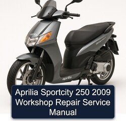 2009 Aprilia Sportcity 250 Service Repair Workshop Manual PDF