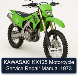 1973 Kawasaki KX Series KX125 Motorcycle Service Repair Workshop Manual PDF