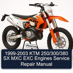 1999-2003 KTM 250 /300/380 SX MXC EXC Engines Service Repair Workshop Manual PDF