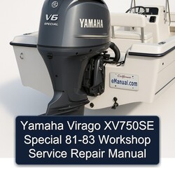 1981-1983 Yamaha Virago XV750SE Special Service Repair Workshop Manual PDF