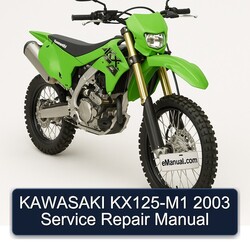 2003 Kawasaki KX Series KX125-M1 Service Repair Workshop Manual PDF