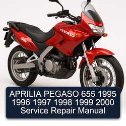 1995-2000 Aprilia Pegaso Models 655 Service Repair Workshop Manual PDF