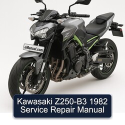 1982 Kawasaki Z Series Z250-B3 Service Repair Workshop Manual PDF