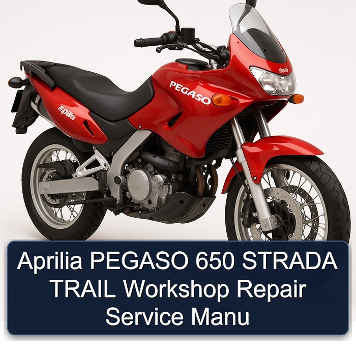 Moto Guzzi Strada Aprilia Pegaso 650 Trail Manu Service Repair Workshop Manual PDF