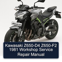 1981 Kawasaki Z Series Z650-D4 Z650-F2 Service Repair Workshop Manual PDF