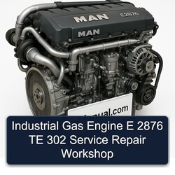 MAN E2876 Industrial Gas Engine E 2876 TE 302 Service Repair Workshop Manual PDF