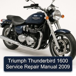 2009 Triumph Thunderbird 1600 Service Repair Workshop Manual PDF