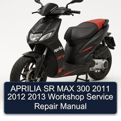 2011-2013 NSU Max Aprilia SR 300 Service Repair Workshop Manual PDF